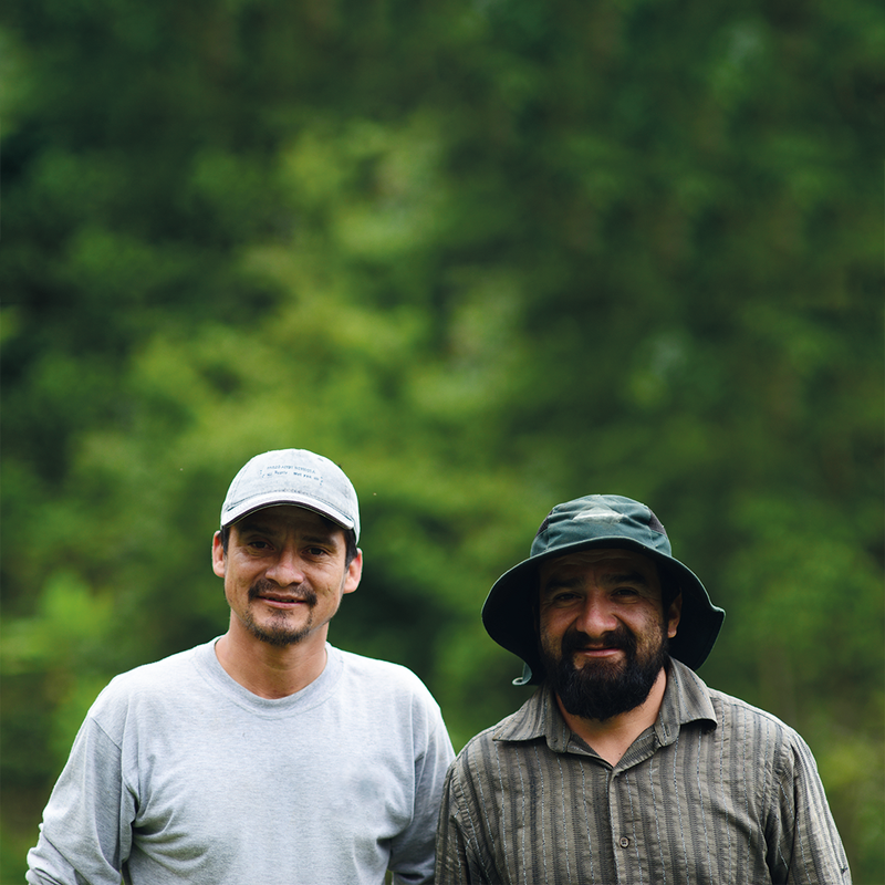 Dankzij jou groeit er iets moois in Peru – letterlijk én figuurlijk