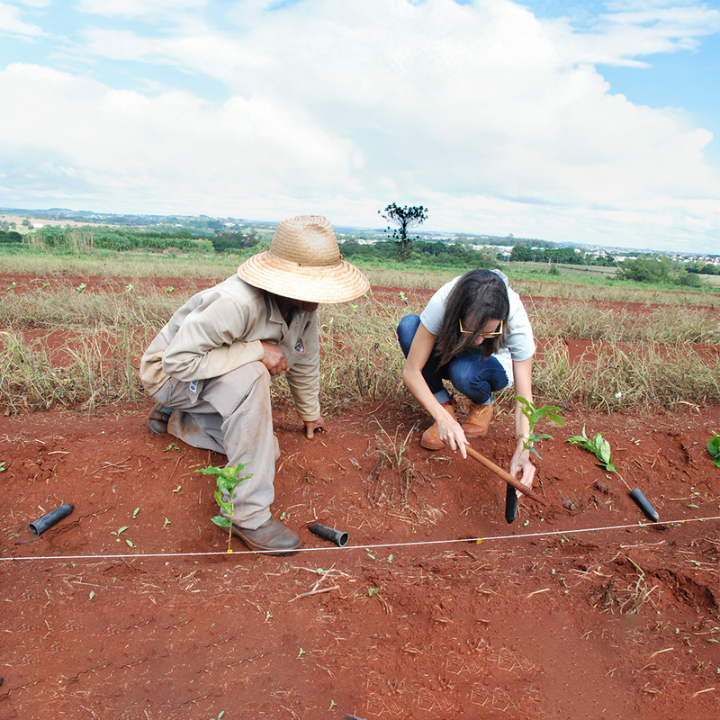 The Future of Carbon Farming