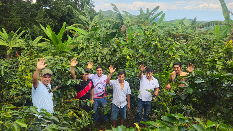 Van koffieplantage naar klimaatpositieve boerderij in Oeganda