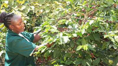 Wonder Women Collective