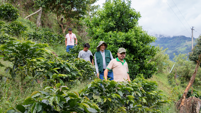 CO₂ Slurpende Farms, Jaén