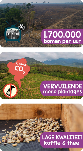 Het resultaat van  hebzuchtige keten