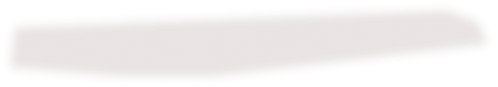 Shadow